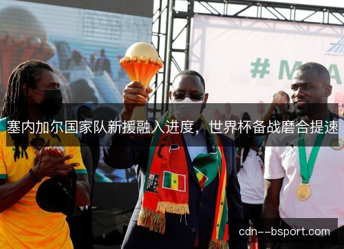 塞内加尔国家队新援融入进度，世界杯备战磨合提速