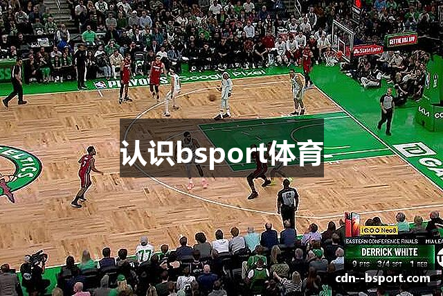 认识bsport体育